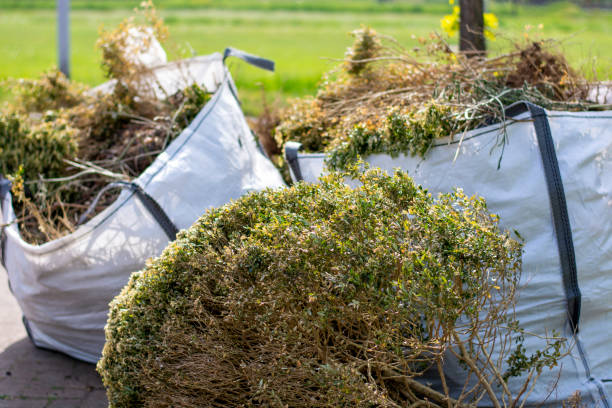 Demolition Debris Removal in Andrews Af, MD